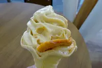 道の駅 パレットピアおおのの写真・動画_image_230631