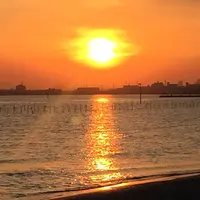 ふなばし三番瀬海浜公園の写真・動画_image_231159