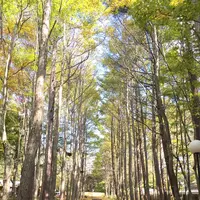 石の教会 内村鑑三記念堂の写真・動画_image_231514