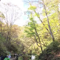 白糸の滝の写真・動画_image_231638