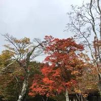 碓氷峠見晴台の写真・動画_image_231857
