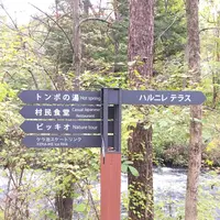 ハルニレテラスの写真・動画_image_231989