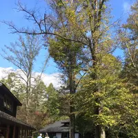 ハルニレテラスの写真・動画_image_231990