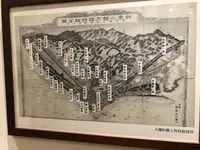 照ヶ崎海岸の写真・動画_image_232715