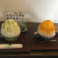 瑠庵+島色の写真・動画_image_232741