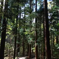 円山公園の写真・動画_image_232764