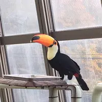 円山動物園の写真・動画_image_232775