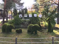 円山動物園の写真・動画_image_232810