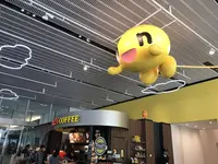 北海道テレビ放送の写真・動画_image_232859
