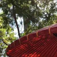 金閣寺（鹿苑寺）の写真・動画_image_232899