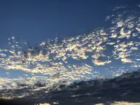 琵琶湖の写真・動画_image_232900