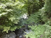 音水渓谷の写真・動画_image_233600