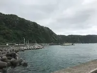 伊豆大島の写真・動画_image_233697