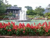 箱根強羅公園の写真・動画_image_234369