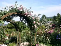 箱根強羅公園の写真・動画_image_234370