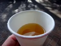 神戸布引ハーブ園の写真・動画_image_234780