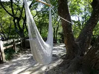 神戸布引ハーブ園の写真・動画_image_234819