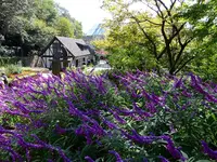 神戸布引ハーブ園の写真・動画_image_234821