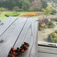 鳥取県立フラワーパークとっとり花回廊の写真・動画_image_234864