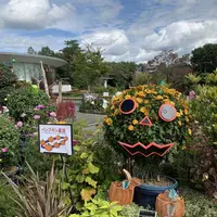 鳥取県立フラワーパークとっとり花回廊の写真・動画_image_234865