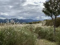 鬼女台展望休憩所の写真・動画_image_234873