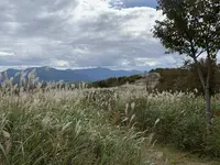 鬼女台展望休憩所の写真・動画_image_234874