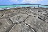 アーラ浜の写真・動画_image_234979