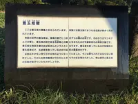 豊玉姫陵の写真・動画_image_235028