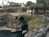 矢櫃橋の写真・動画_image_235036