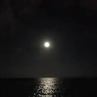 アーラ浜の写真・動画_image_235055