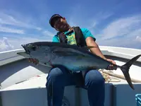 真泊ターミナルの写真・動画_image_235640