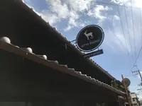 cervo biancoの写真・動画_image_235644