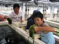 久米島海洋深層水開発（株）の写真・動画_image_235651