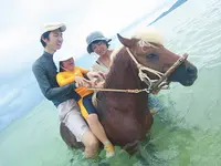 久米島馬牧場の写真・動画_image_235663