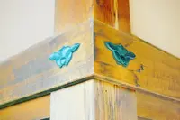 高山陣屋の写真・動画_image_235713