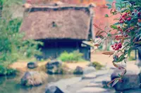 白川郷の写真・動画_image_235721