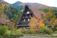 白川郷の写真・動画_image_235723