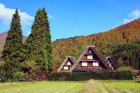 白川郷 かん町付近の写真・動画_image_235731