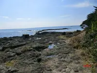 番所鼻自然公園の写真・動画_image_235794