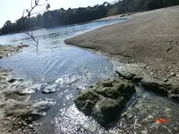 番所鼻自然公園の写真・動画_image_235797