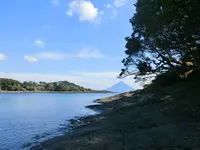 番所鼻自然公園の写真・動画_image_235798