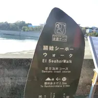 番所鼻自然公園の写真・動画_image_235809