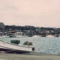屏風ヶ浦の写真・動画_image_235827