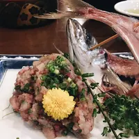 一山 いけすの写真・動画_image_235829