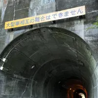 サンメッセ日南の写真・動画_image_236003