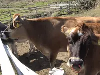 サンメッセ日南の写真・動画_image_236006