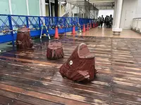 海ほたるパーキングエリアの写真・動画_image_236036