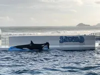 鴨川シーワールドの写真・動画_image_236046