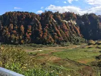 四ケ村の棚田の写真・動画_image_236214
