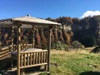 四ケ村の棚田の写真・動画_image_236217